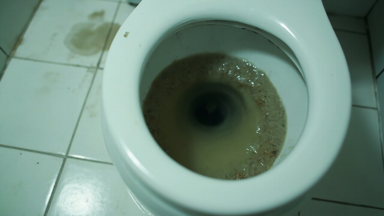 How Professional Sewer Line Diagnostics Pinpoint the Exact Location and Cause of Failure